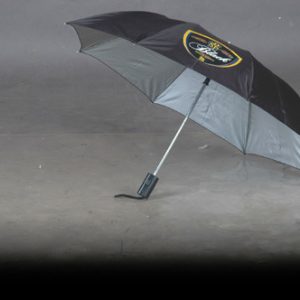Auto Open Folding Umbrella