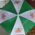 2 Fold Umbrella